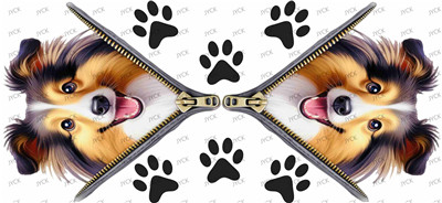 Other animal-Y47079