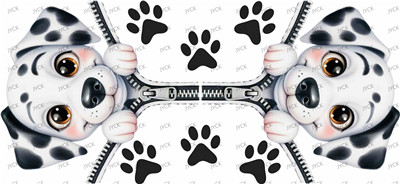 Other animal-Y47081