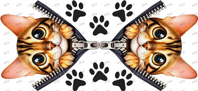 Other animal-Y47082