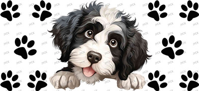 Other animal-Y47806