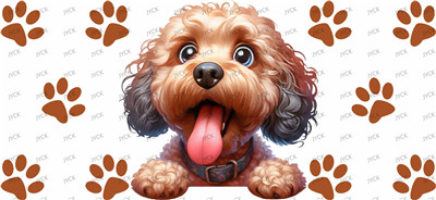 Other animal-Y47807