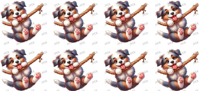 Other animal-Y47811
