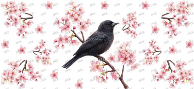Other animal-Y48796