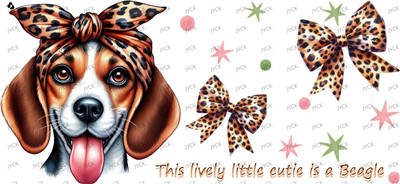 Other animal-Y50830