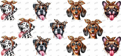 Other animal-Y50831