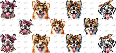 Other animal-Y50834