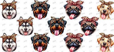 Other animal-Y50835