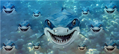sharks-Y22838