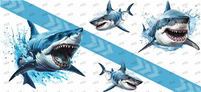sharks-Y34312