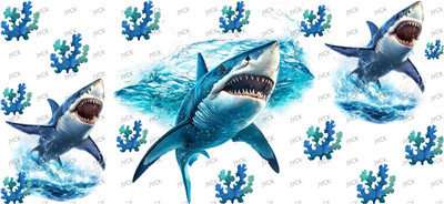 sharks-Y34316