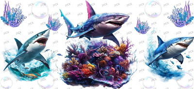 sharks-Y34320