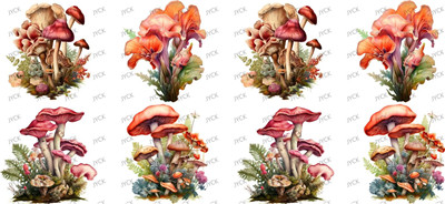 Mushroom-Y49322