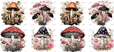 Mushroom-Y49326