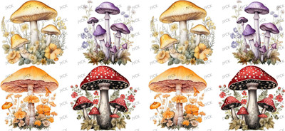Mushroom-Y49329