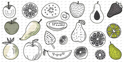Others food-Y8913