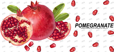16oz-Others foodY37845