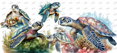 turtle-Y0685