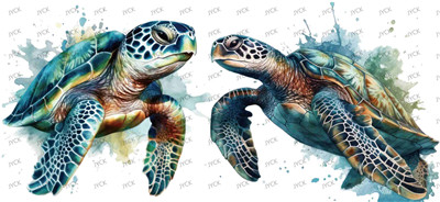 turtle-Y0687