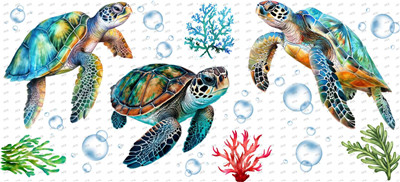 turtle-Y12274