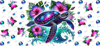 turtle-Y33066