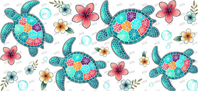 turtle-Y42702