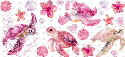turtle-Y42703