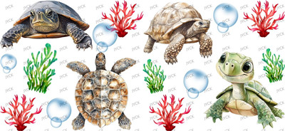 turtle-Y48164