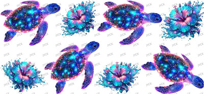 turtle-Y48173