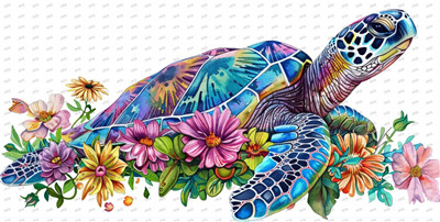 turtle-Y7865