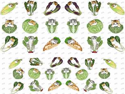 mini wraps-F1447