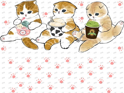 mini wraps-F1449
