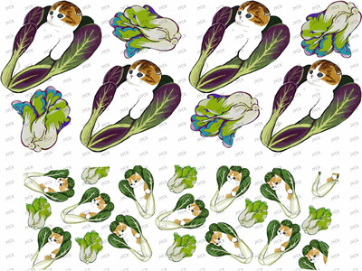 mini wraps-F1450