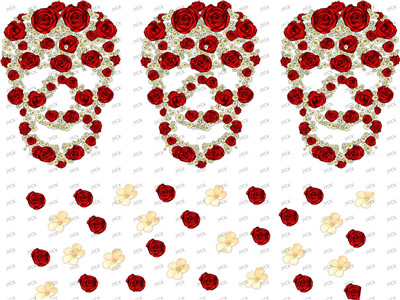 mini wraps-F1494