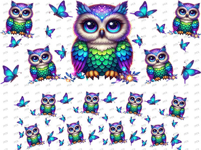 mini wraps-F1733