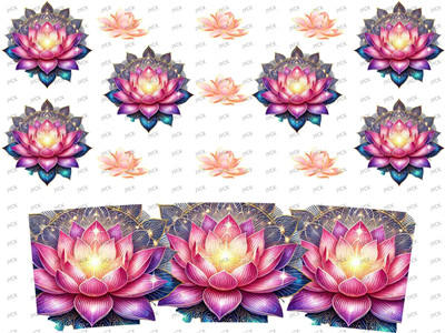 mini wraps-F1792
