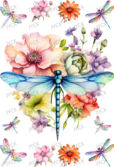 Book wraps-Q10203