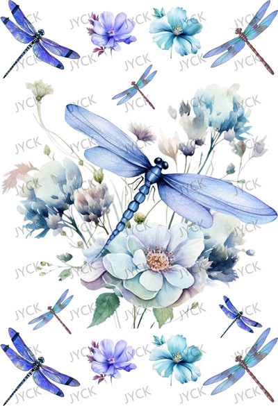 Book wraps-Q10204