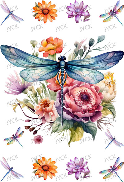 Book wraps-Q10205