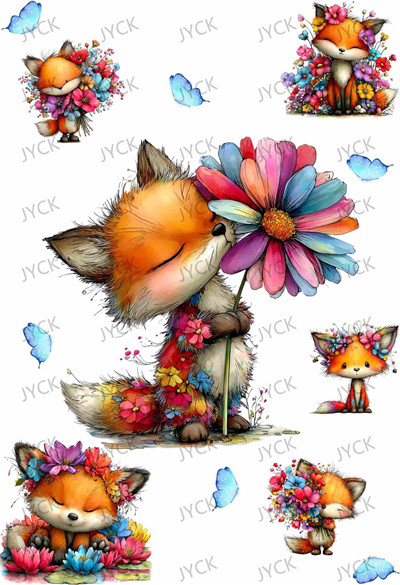 Book wraps-Q10265
