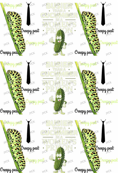 Book wraps-Q10529