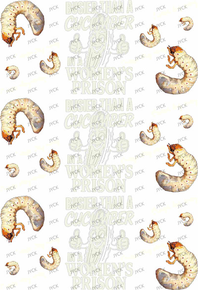 Book wraps-Q10531