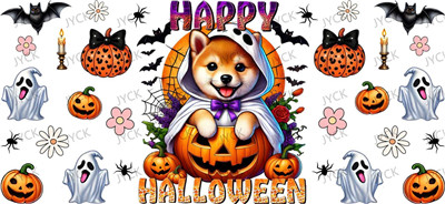 H6-3007