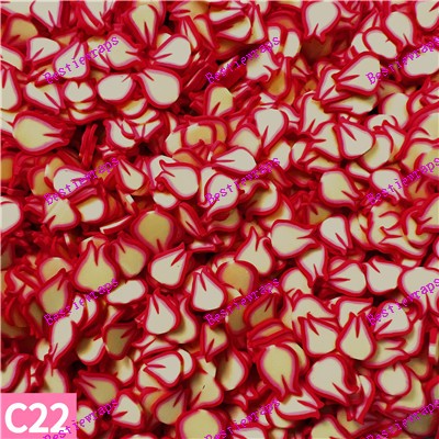 Clays-C22