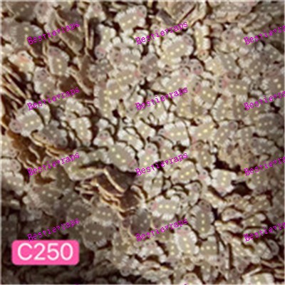 Clays-C250