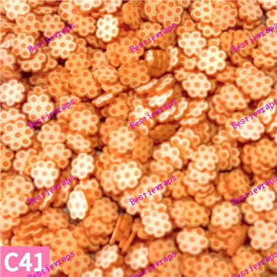Clays-C41