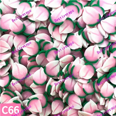 Clays-C66