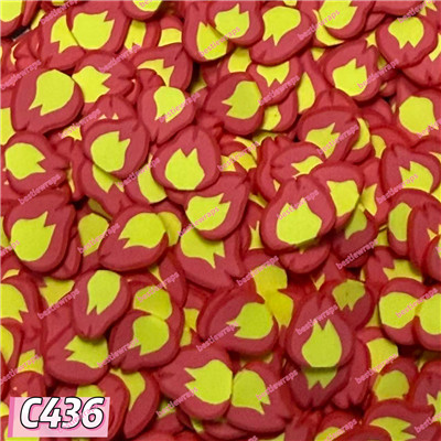 Clays-C436