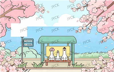 Card wraps-BC5163