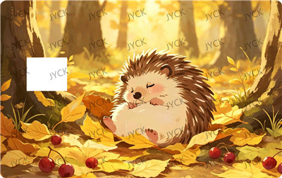 Card wraps-BC5228