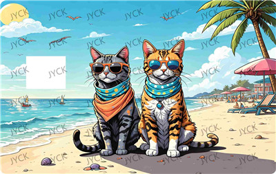 Card wraps-BC5553